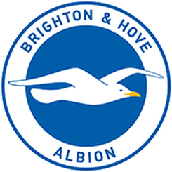 布莱顿队旗